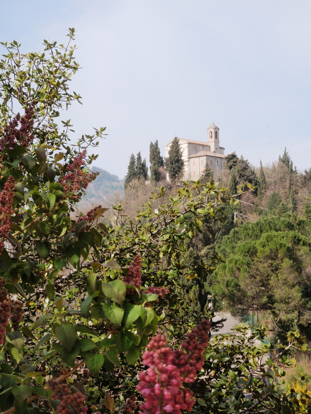 Brisighella