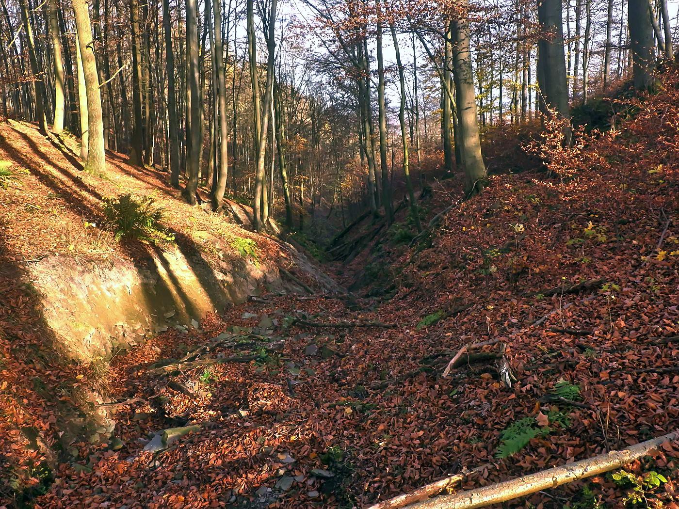 Köterberg Trift