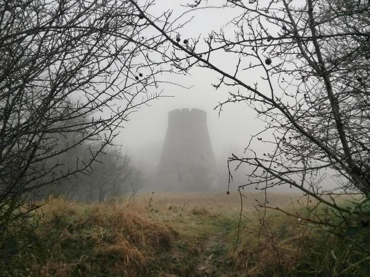 Der Stumpf im Nebel