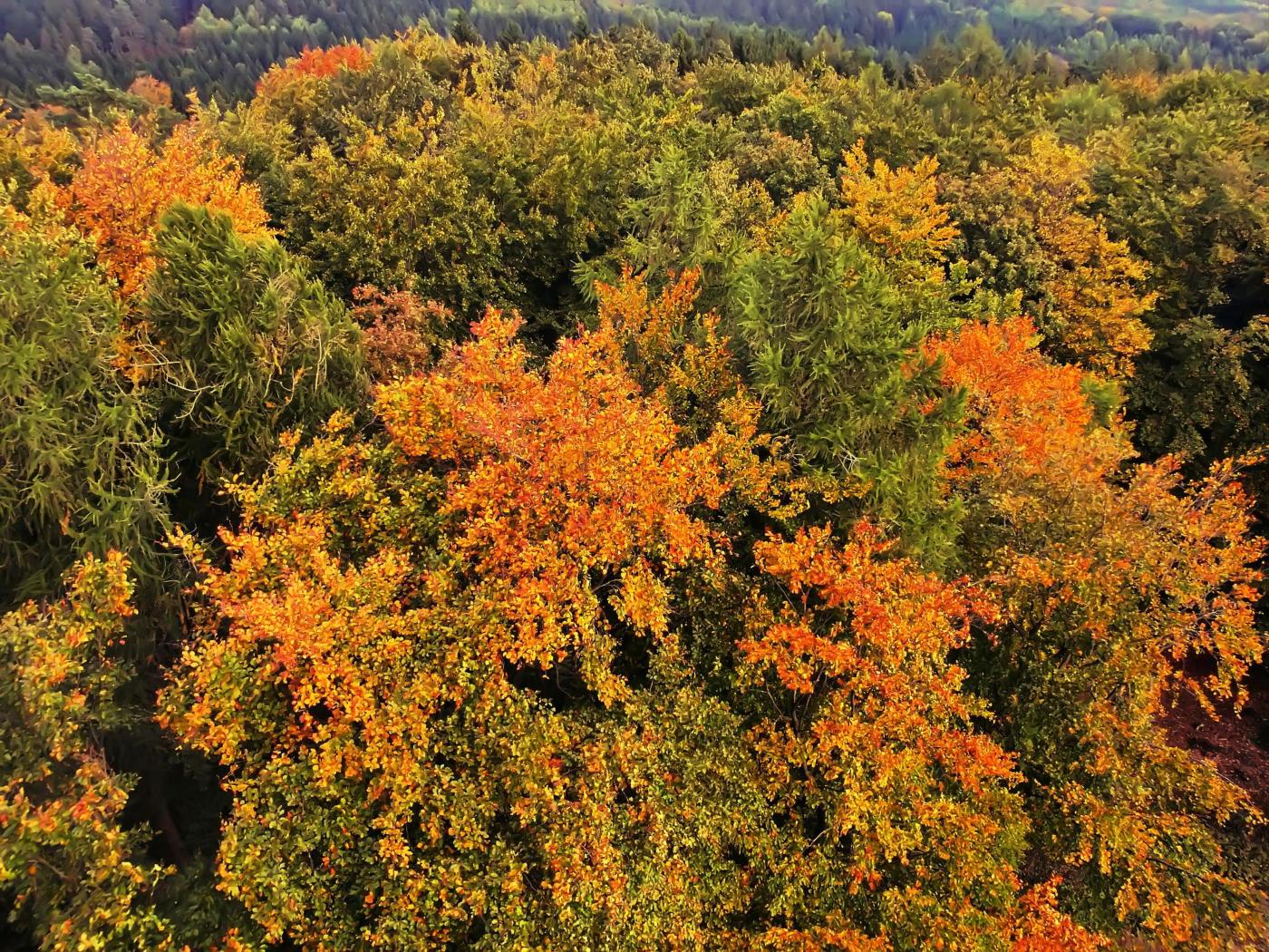 Kunterbunt