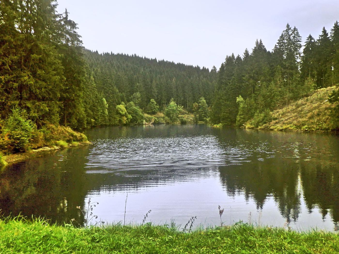 Grumbacher Teich