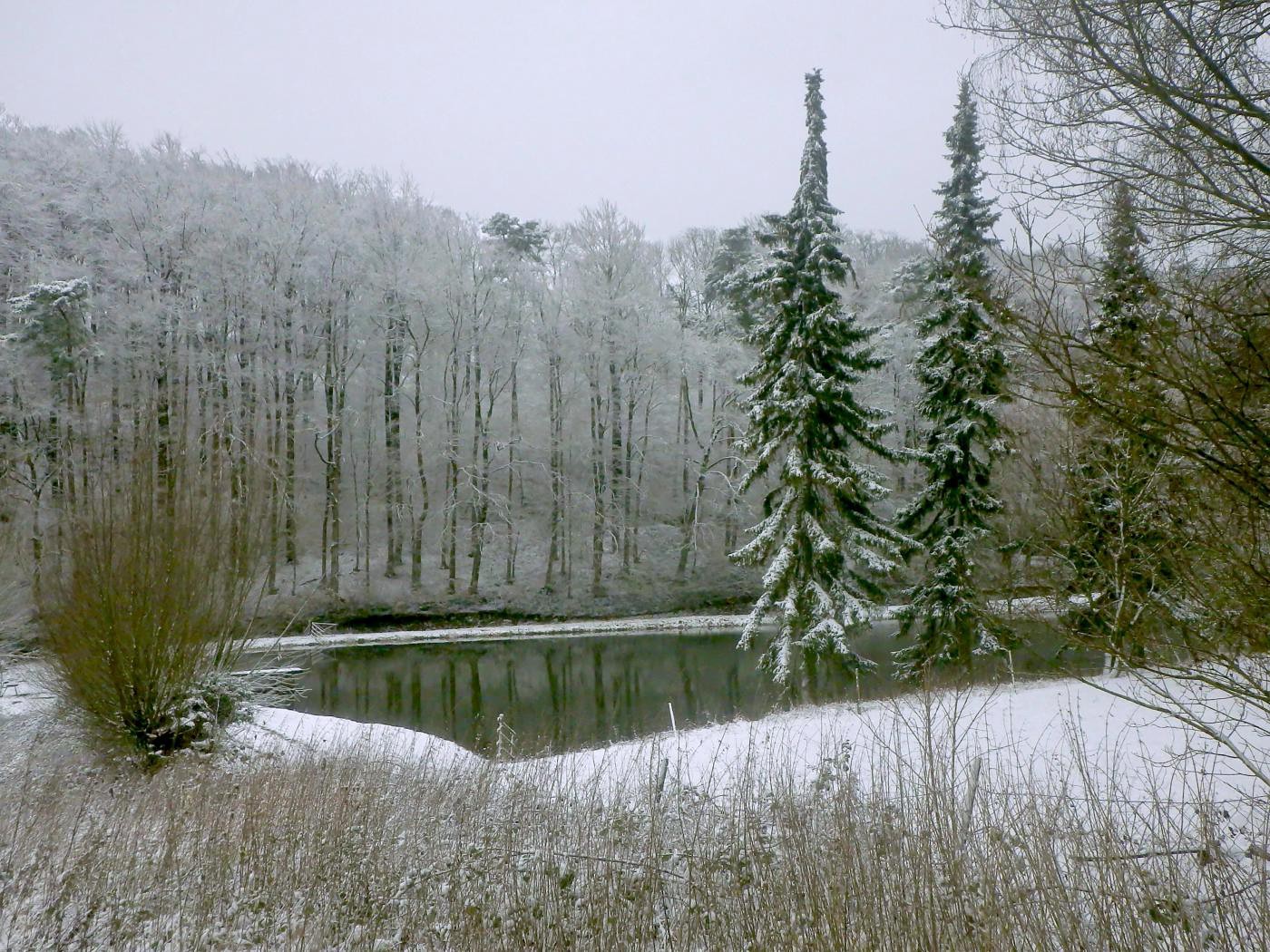 Teich am Bastenstein