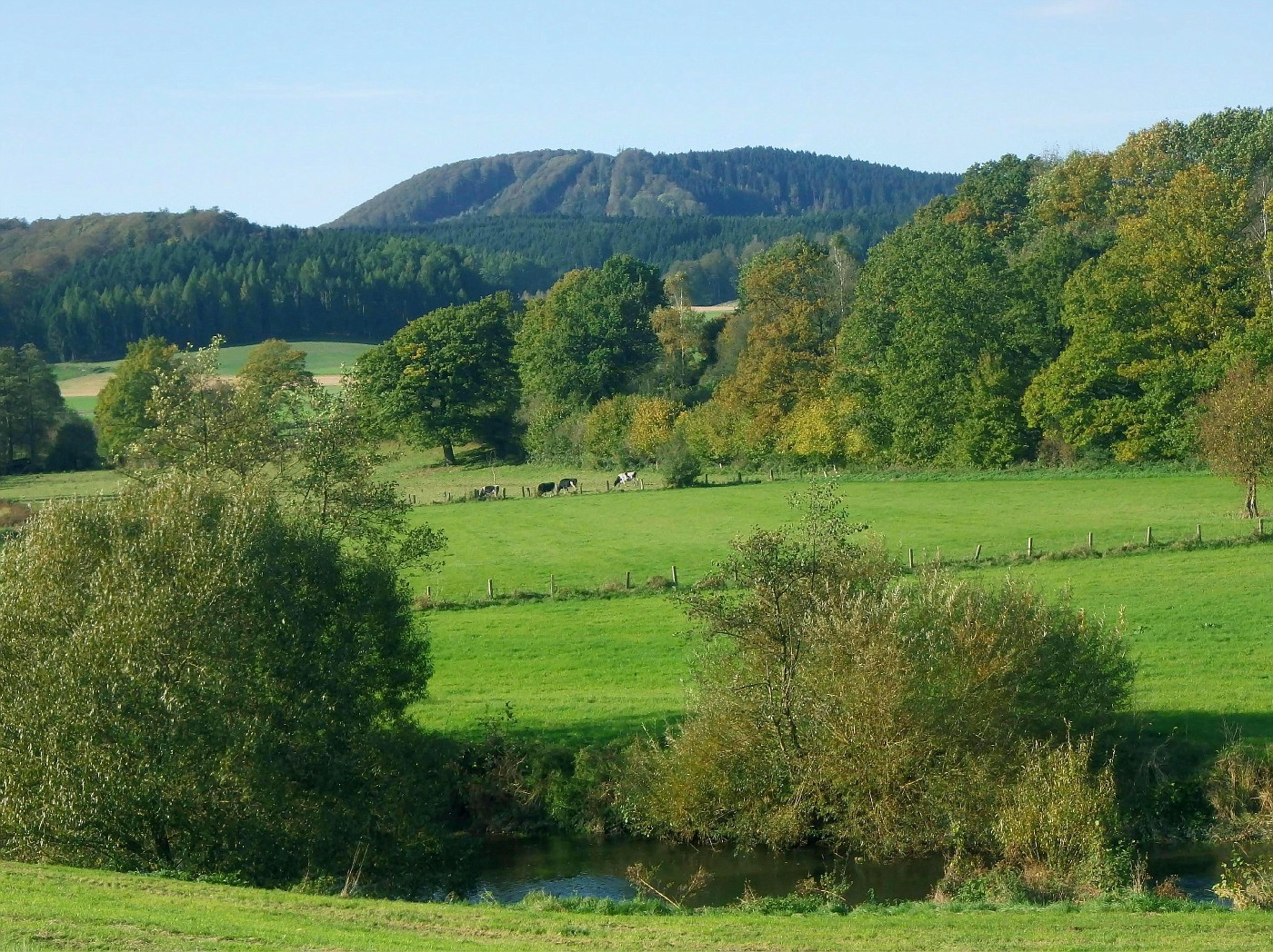 Blick über die Emmer