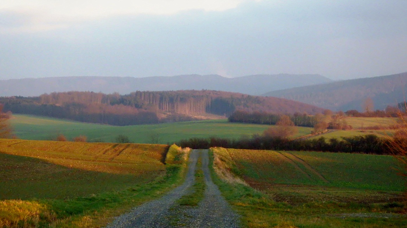 Winter im Weserbergland (ohne Schnee)