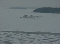 Miracle Helsinki Sail Away1n