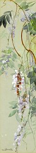Wisteria (undated)