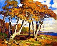 Sycamores, Autumn [undated]