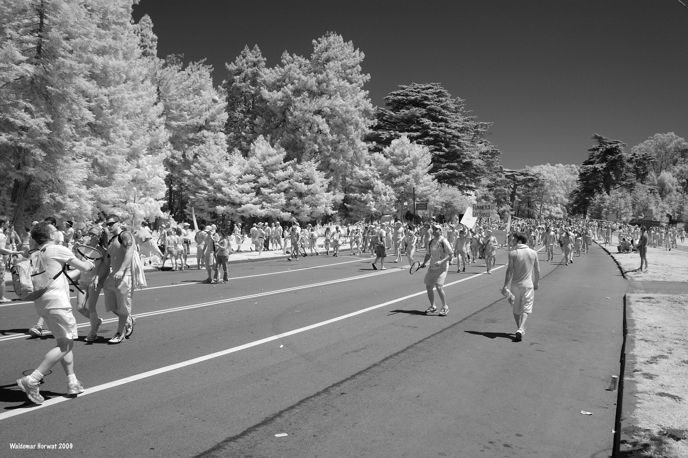 Photo Play Ball Bay to Breakers 2009 album Waldemar