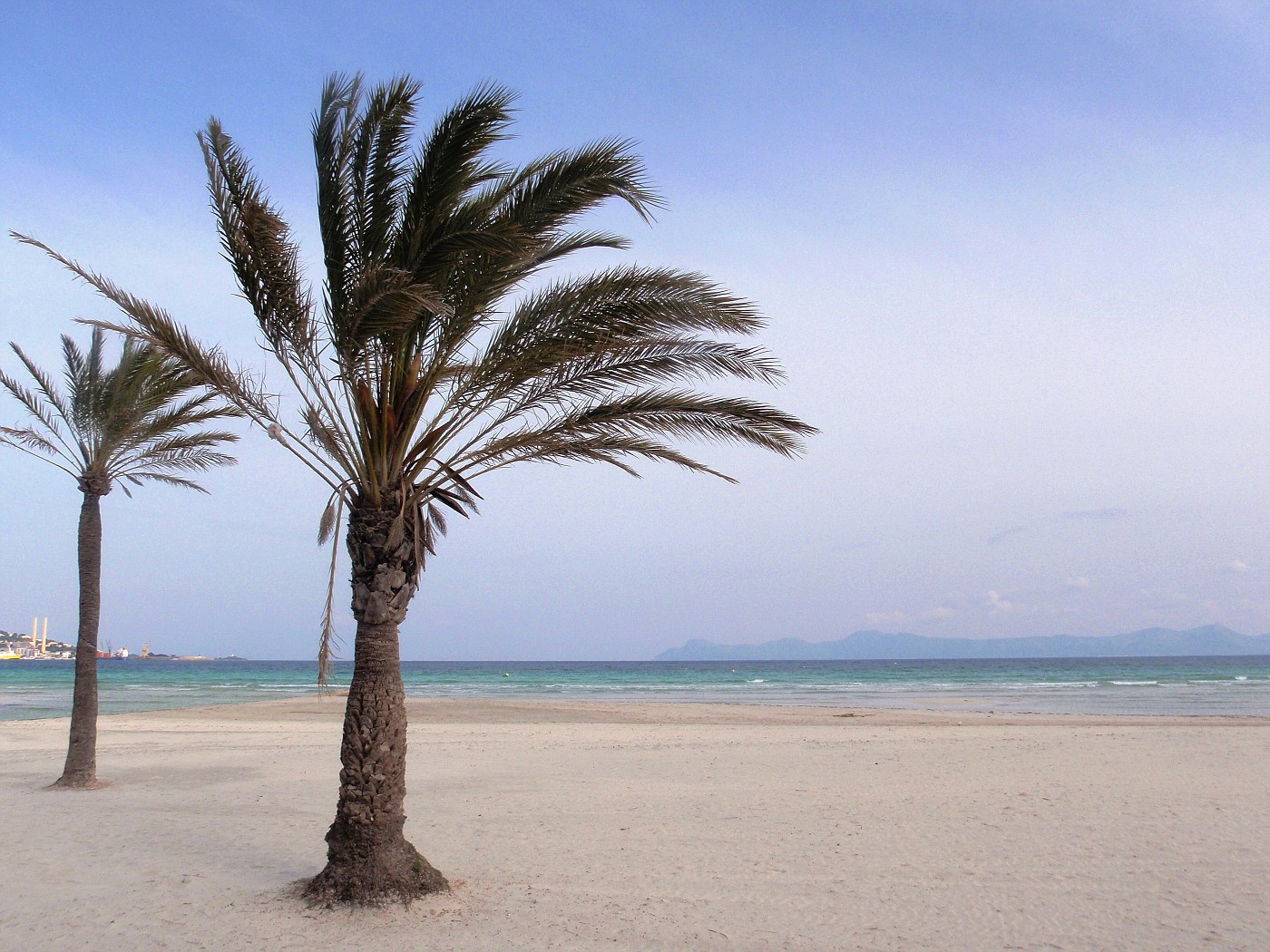 Playa Alcúdia