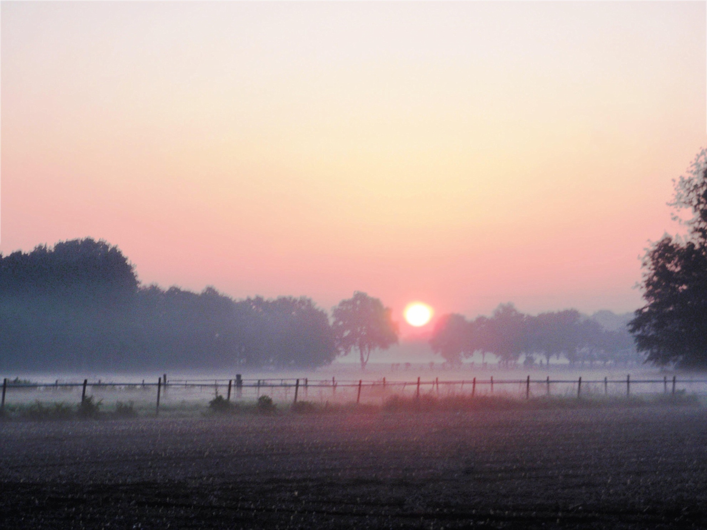 Limburger Sonnenaufgang