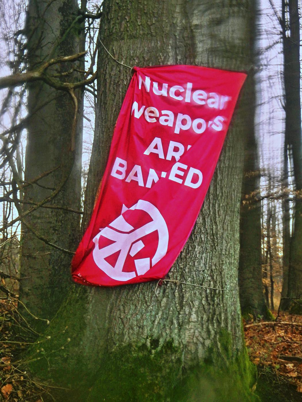 Nuclear weapons are banned