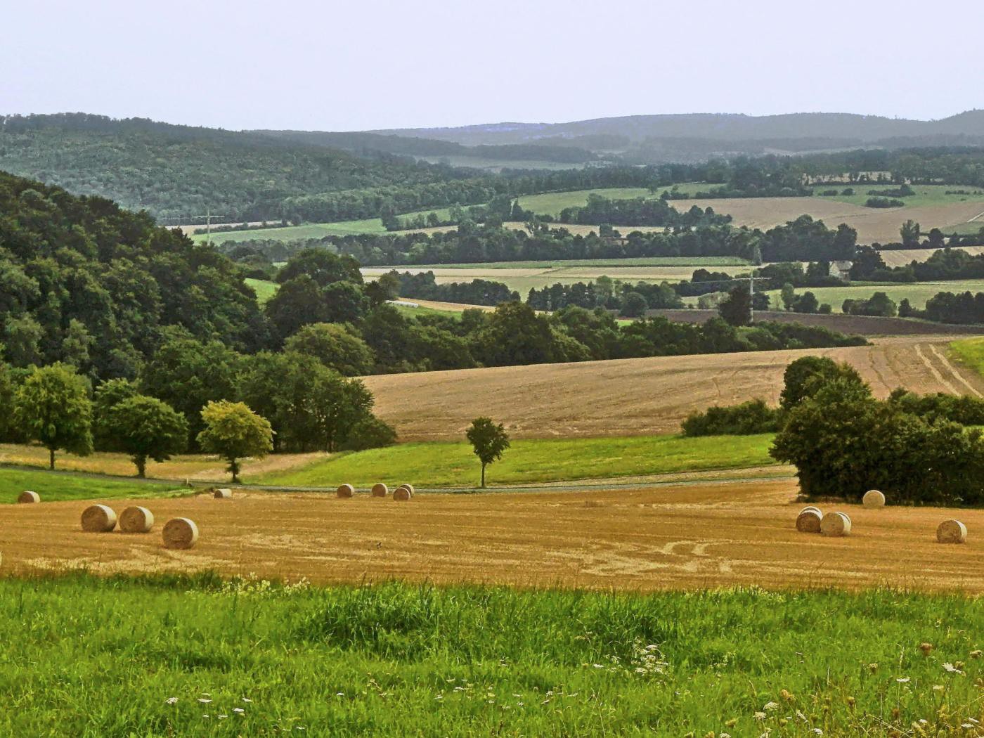 Blick vom Bellenberg