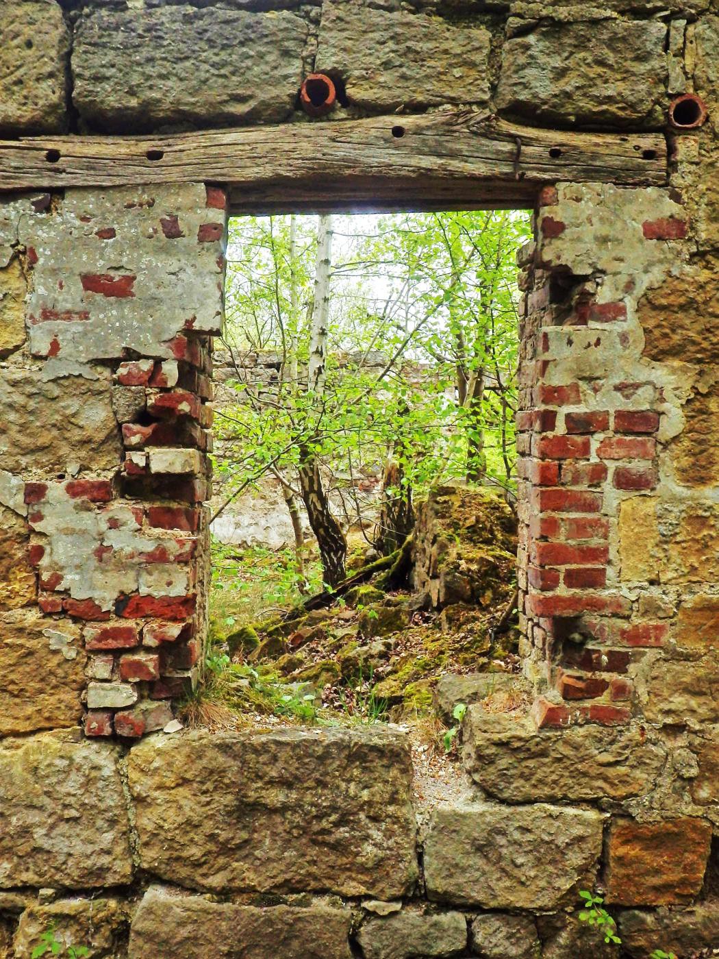 Fenster Ruine