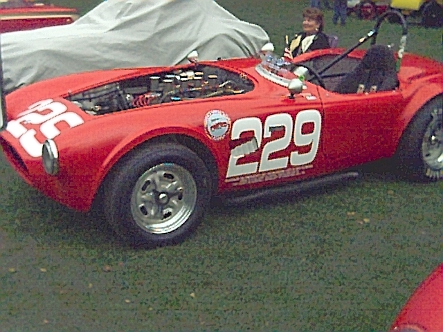 Photo: Cobra-2 | Ford Centennial of Racing 2001 album | Kos | Fotki.com ...
