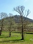 Blick auf Motovun