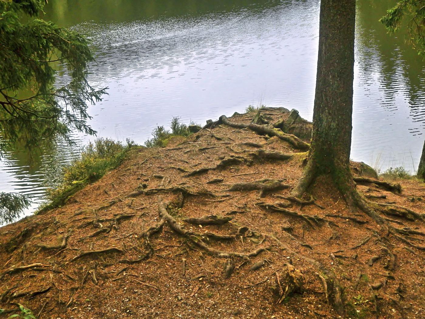 Grumbacher Teich