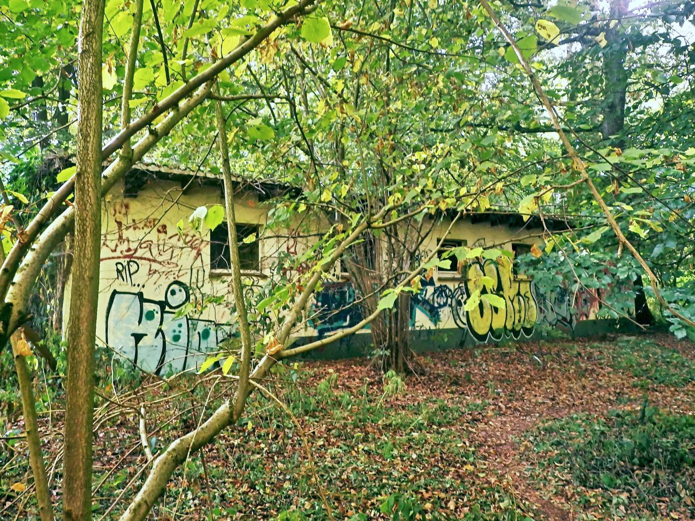 Gebäude mit Graffiti