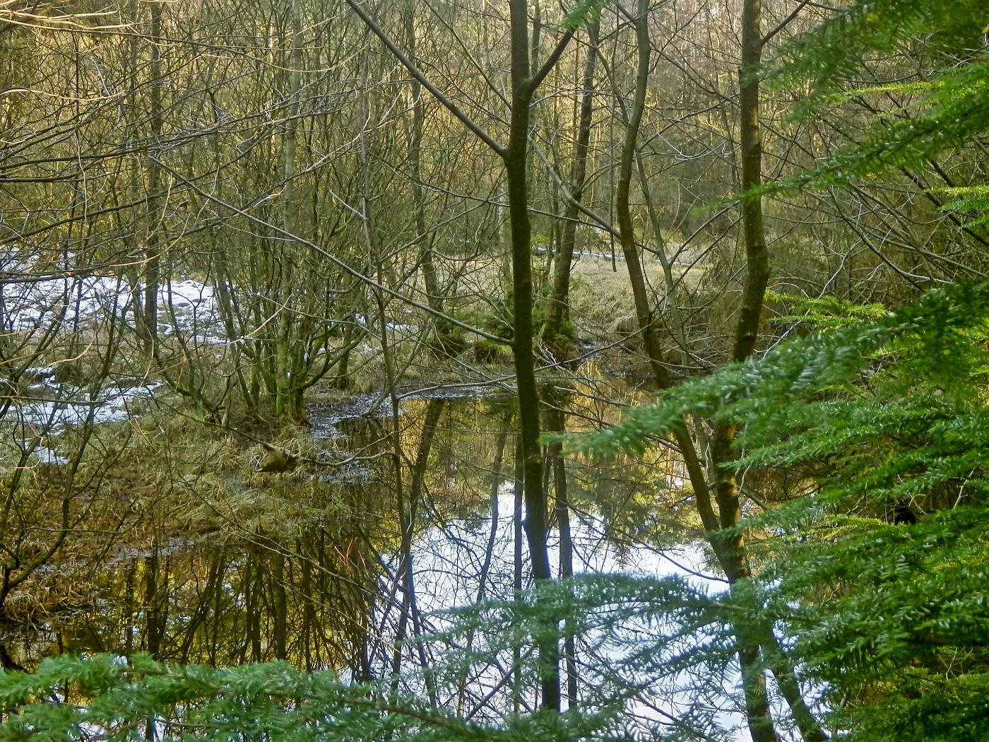 Ölbach