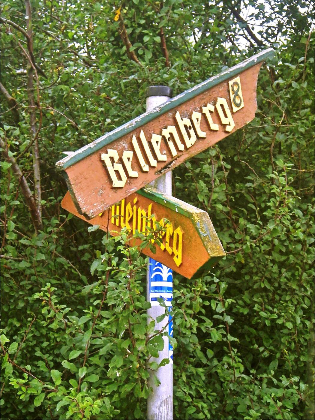 Rauf auf den Bellenberg