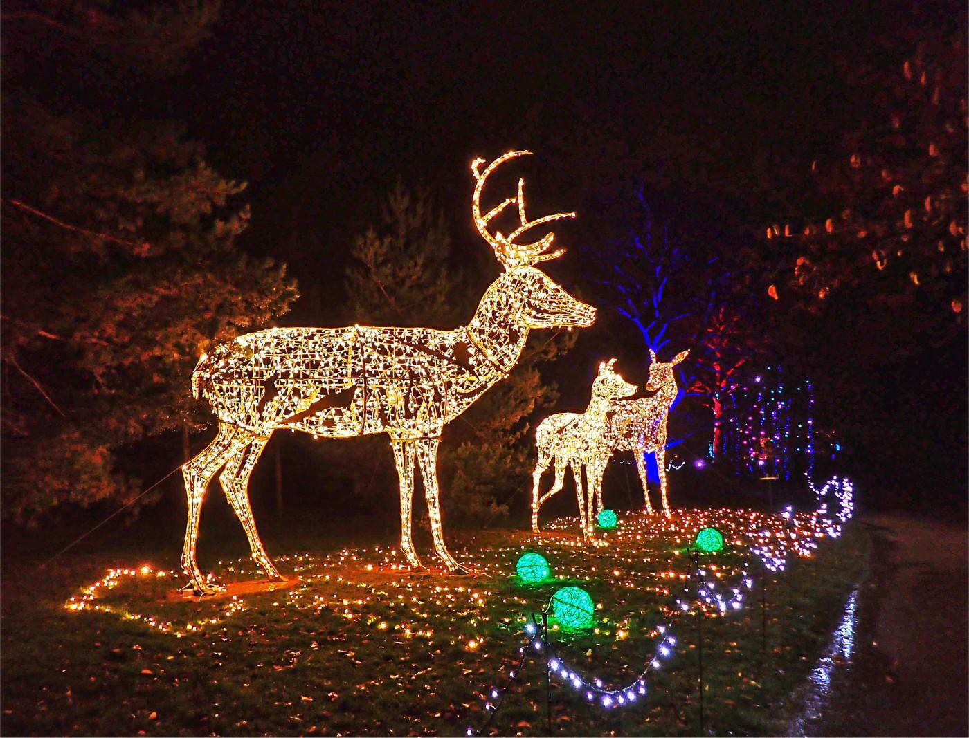 Kurpark Lichterfest