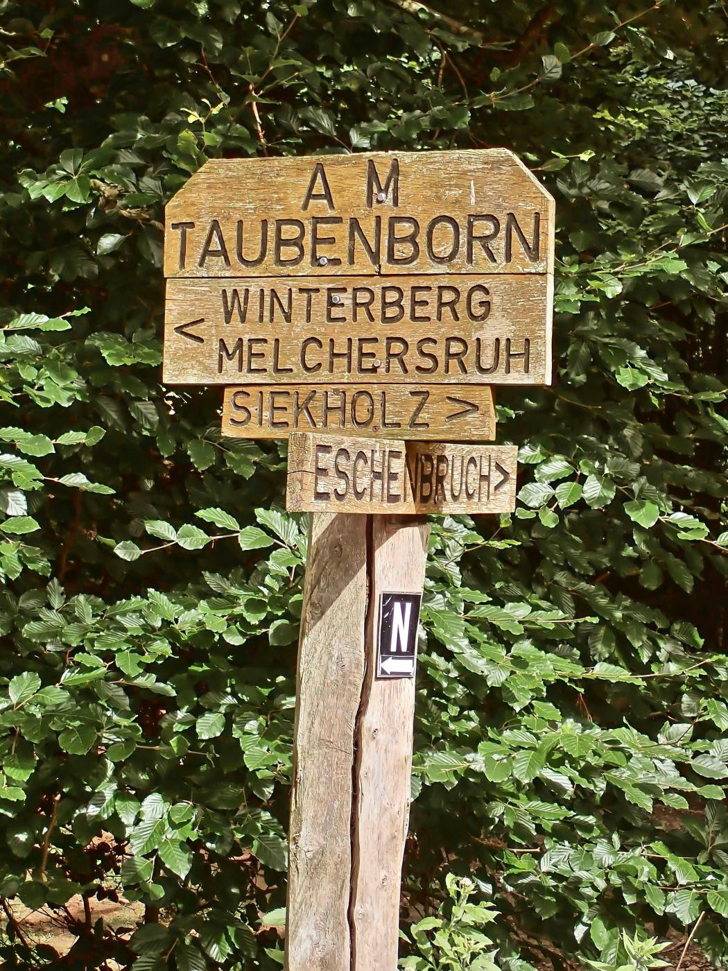 Am Taubenborn