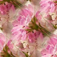 Floral29