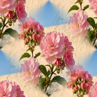 Floral32