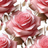 Pink 6