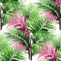 Tropicalbeach2-vi
