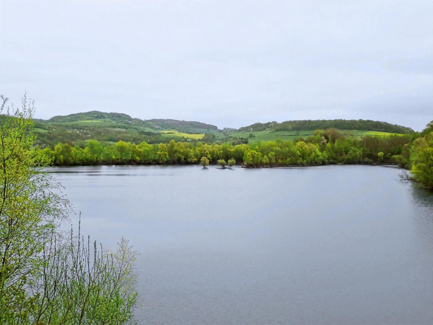 Naturschutzgebiet Weseraue Heidbrink