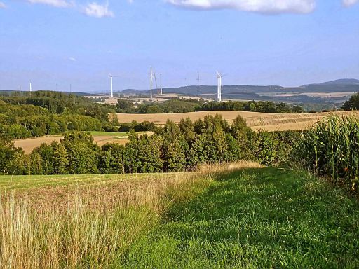 Blick auf Schierenberg