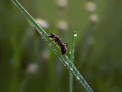Dunkler, feuchter Herbsttag