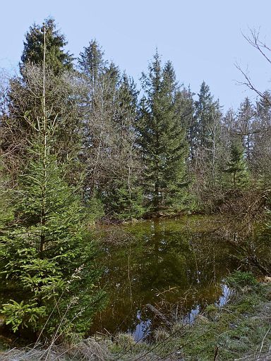 Feuerlöschteich Raketenstation Hohe Egge