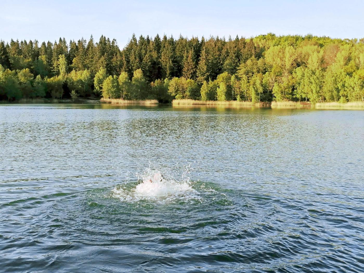 Seeungeheuer im Bruchsee?