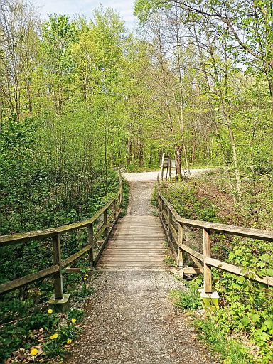 Brücke über die Saale