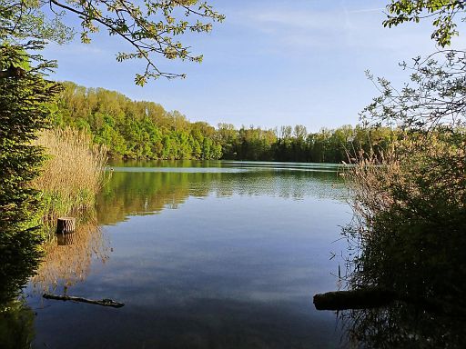 Bruchsee