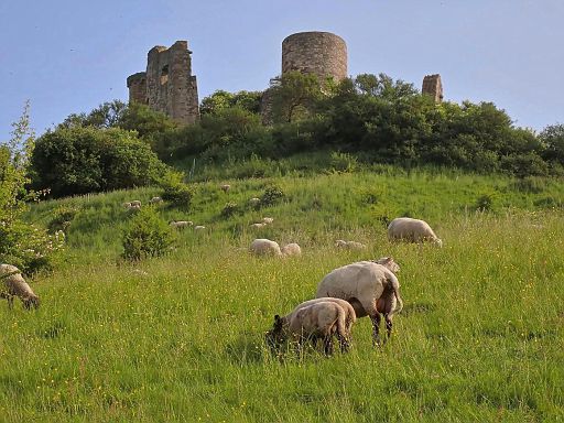 Burgruine Desenberg