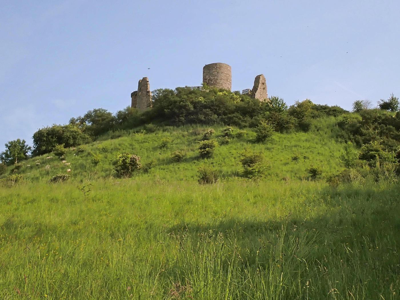 Burgruine Desenberg