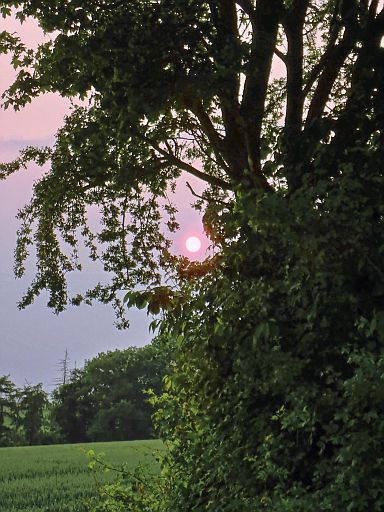Verschleierte Sonne
