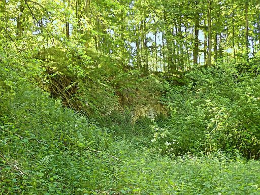 Klippen im Egge-Wald