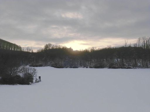 Wintersonne über dem Forst Barntrup
