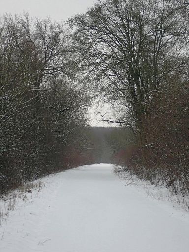 Zum Barntruper Forst