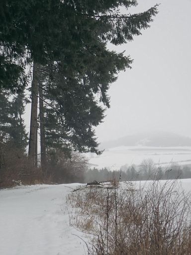Landesgrenze NRW - Niedersachsen