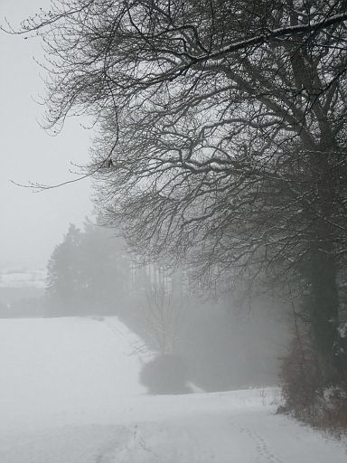 Nebel
