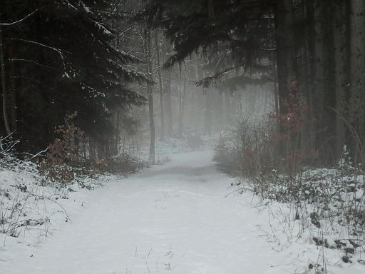 Forst Barntrup