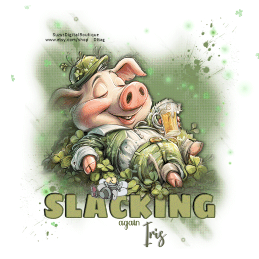 Slackingh st pats slacking album | Direne | Fotki.com, photo and video sharing ...