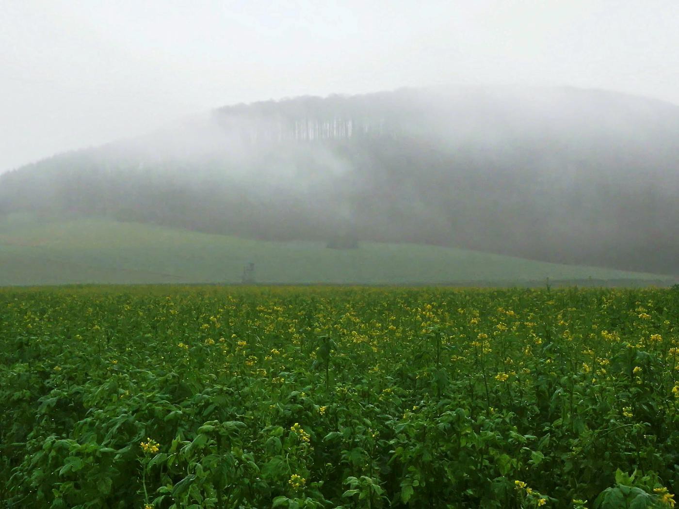 Dicht unter den Wolken