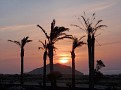 Cortijo del Paraiso